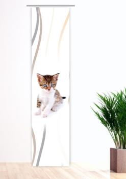 Preview: Träumli vertic Katzenbaby, Flächenvorhang Einzel